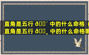 直角是五行 🌴 中的什么命格（直角是五行 🕸 中的什么命格呢）